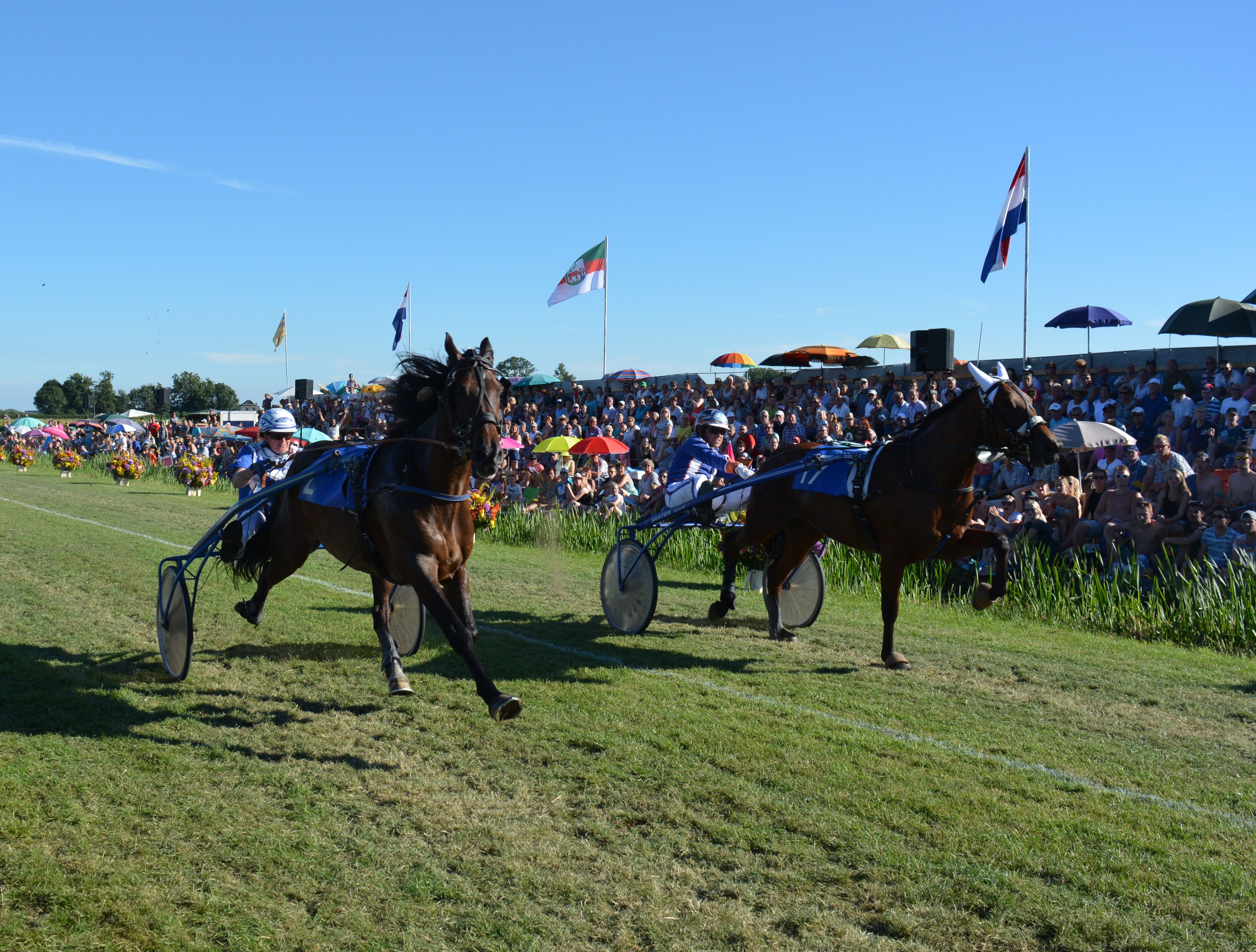 Pers Stompwijk2016