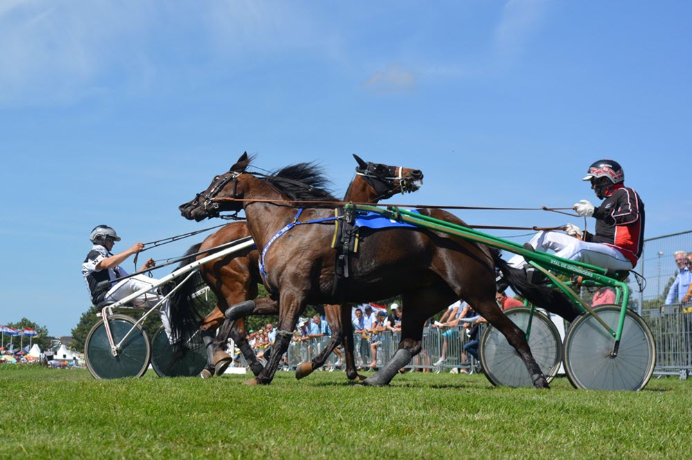 Stompwijkse Paardendagen